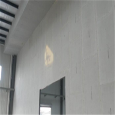 江陵新型建筑材料掺多种工业废渣的ALC|ACC|FPS模块板材轻质隔墙板